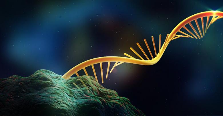 Ribosomal DNA